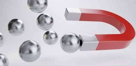 permanent magnet permanent magnet